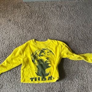 A long sleeve crop top